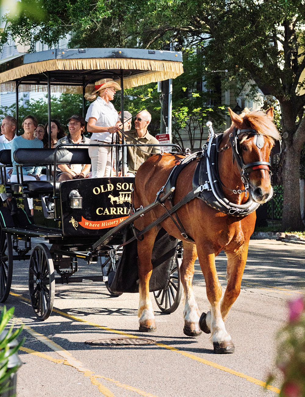 Historic Charleston Carriage Tours & Rides | Old South Carriage