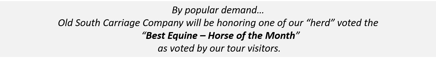 Horse of the month banner