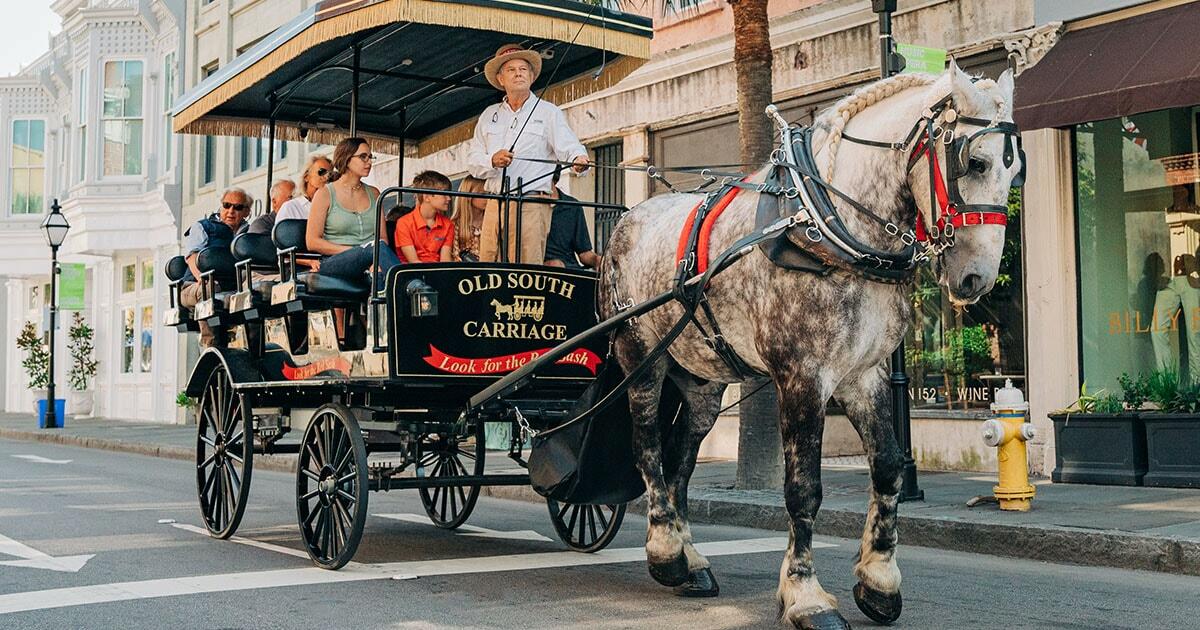 Horse-Drawn Carriage Tours of Downtown Historic Lexington