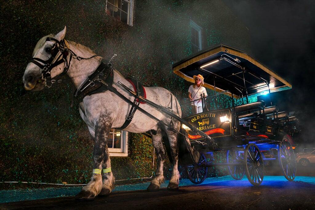 Haunted Carriage Tour of Charleston