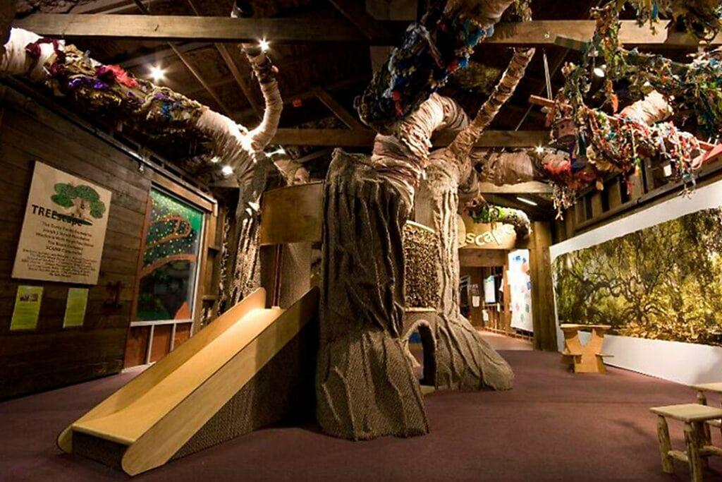 Children's Museum of the Low Country