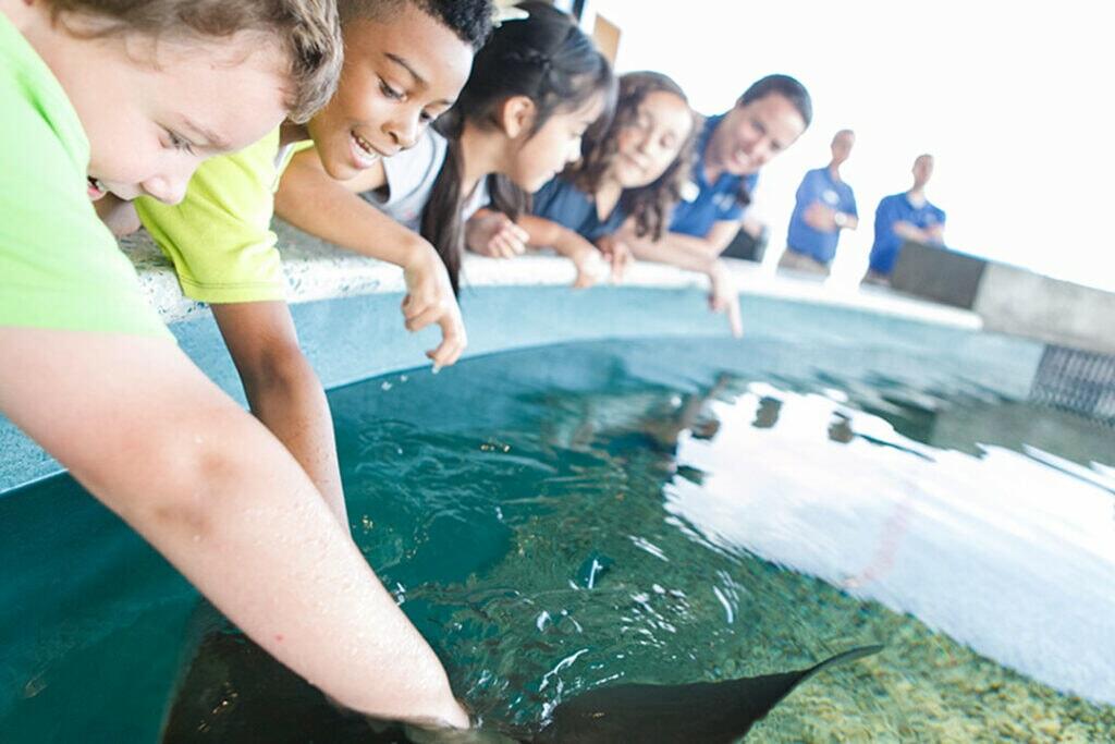 The South Carolina Aquarium