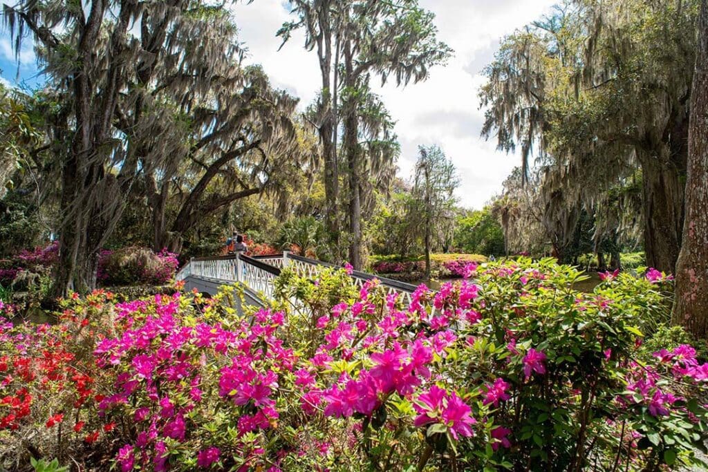 Magnolia Plantation and Gardens, Charleston, SC