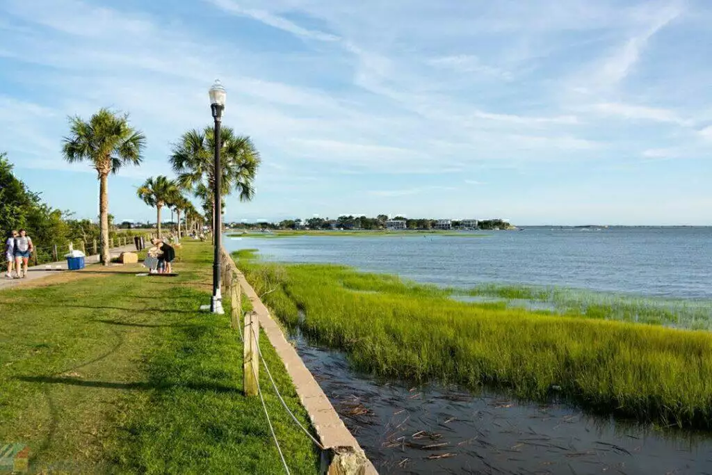 Views on Pitt Street Bridge