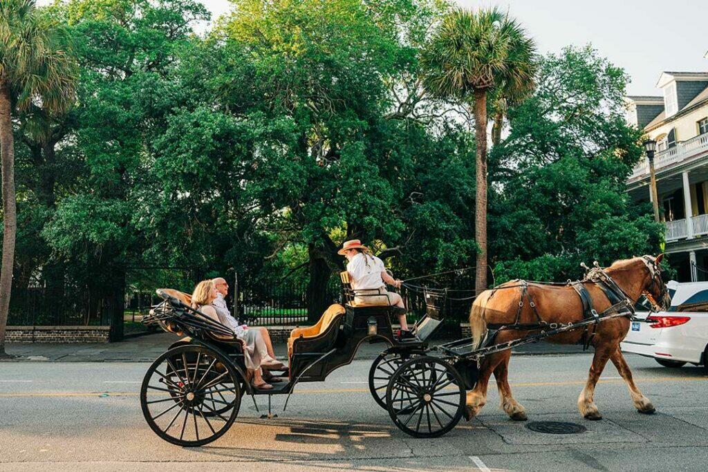 Old South Carriage Tour