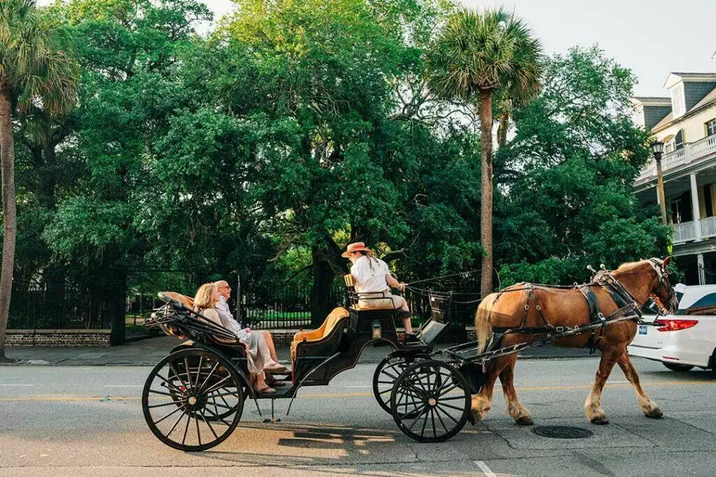 Old South Carriage Tour 