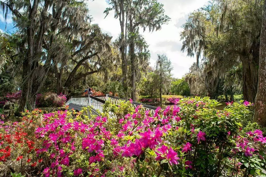 Charleston Garden