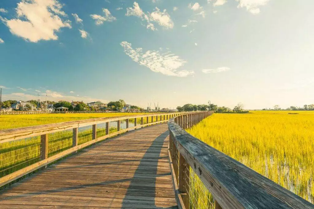 Walk around shem creek