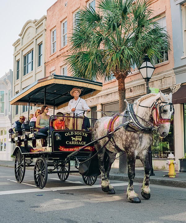 Old South Historic Carriage Tour