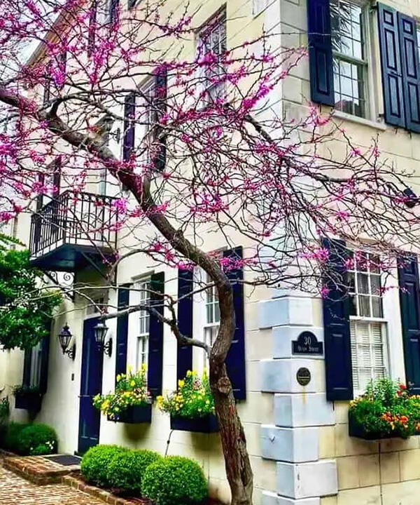 Two Sisters Tours - Group walking tours of Charleston