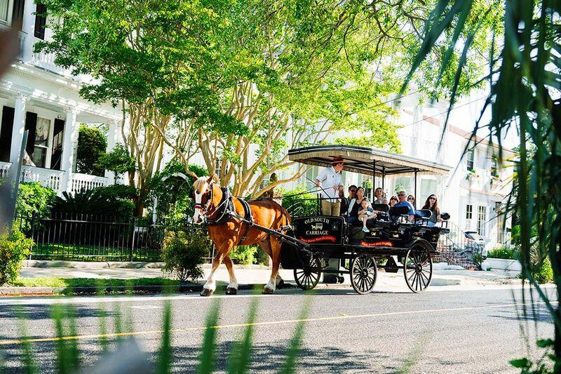 Old South Carriage Tour