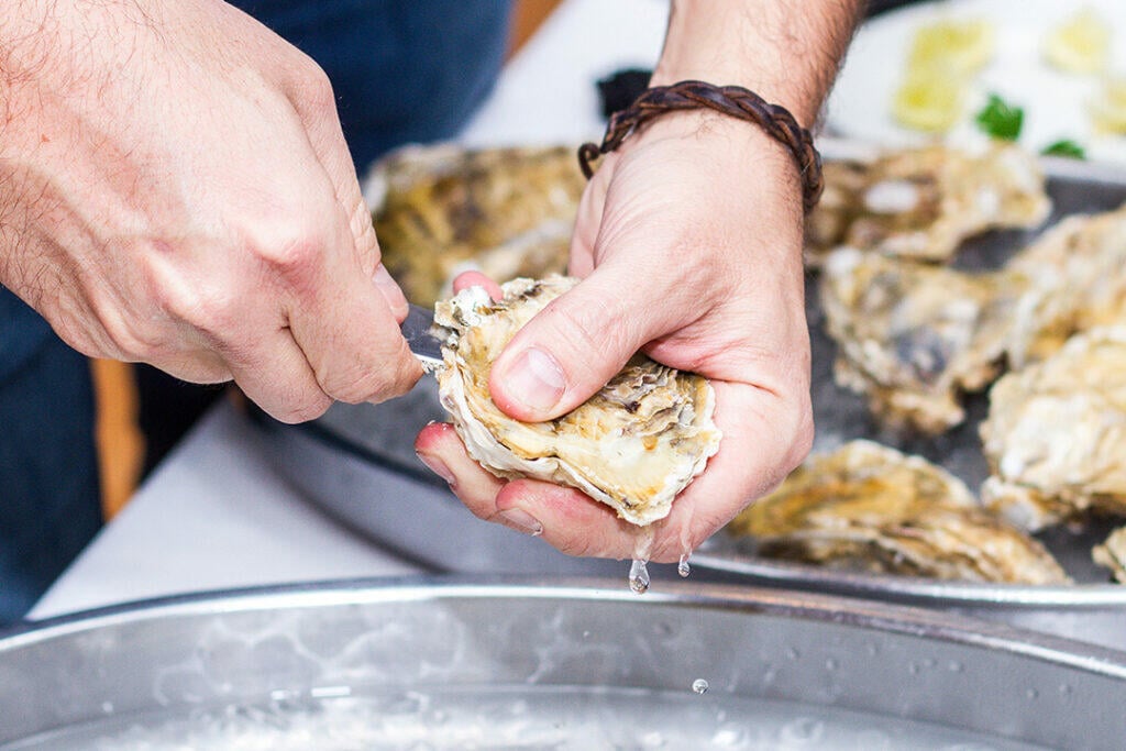 Low country Oyster Festival in Charleston