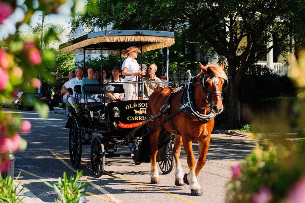 Old South Carriage Tour in Charleston