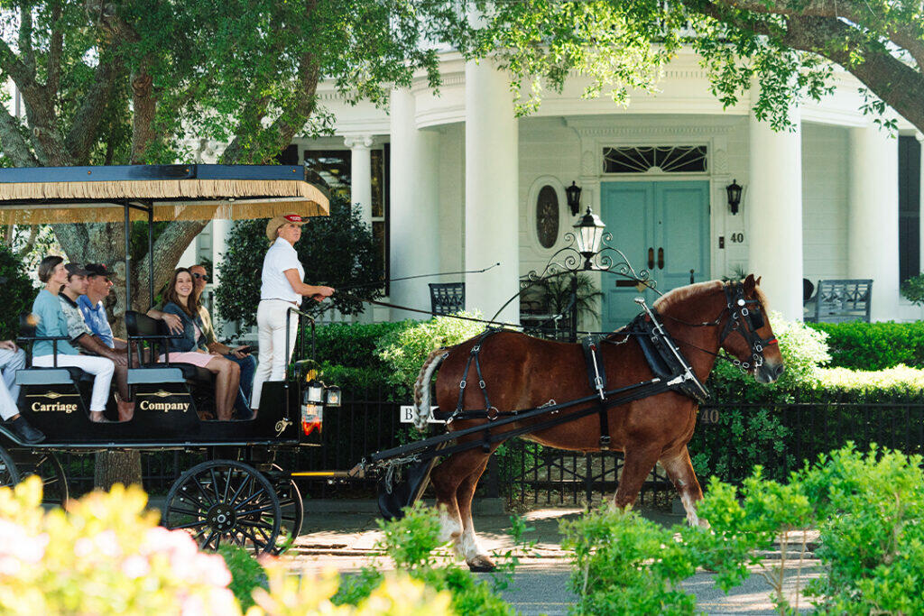 Old South Carriage Tour is a must for your one day in Charleston SC