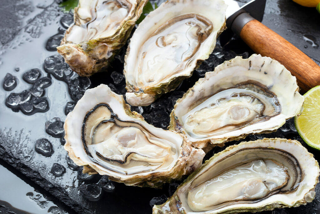 Oysters in Charleston SC
