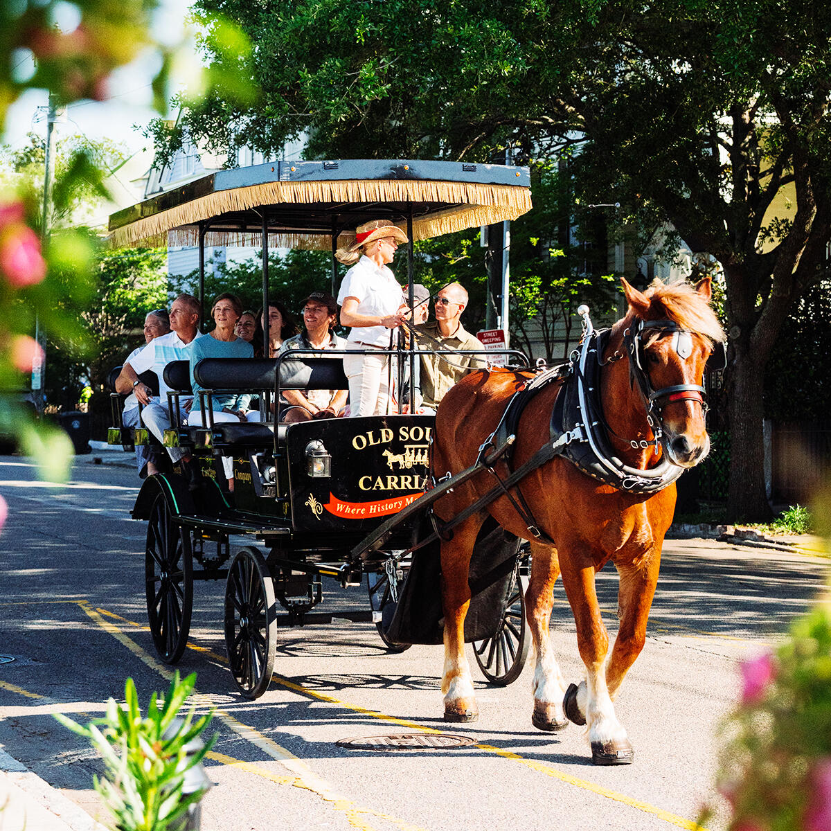 One Day in Charleston: The Perfect Itinerary for Your Trip