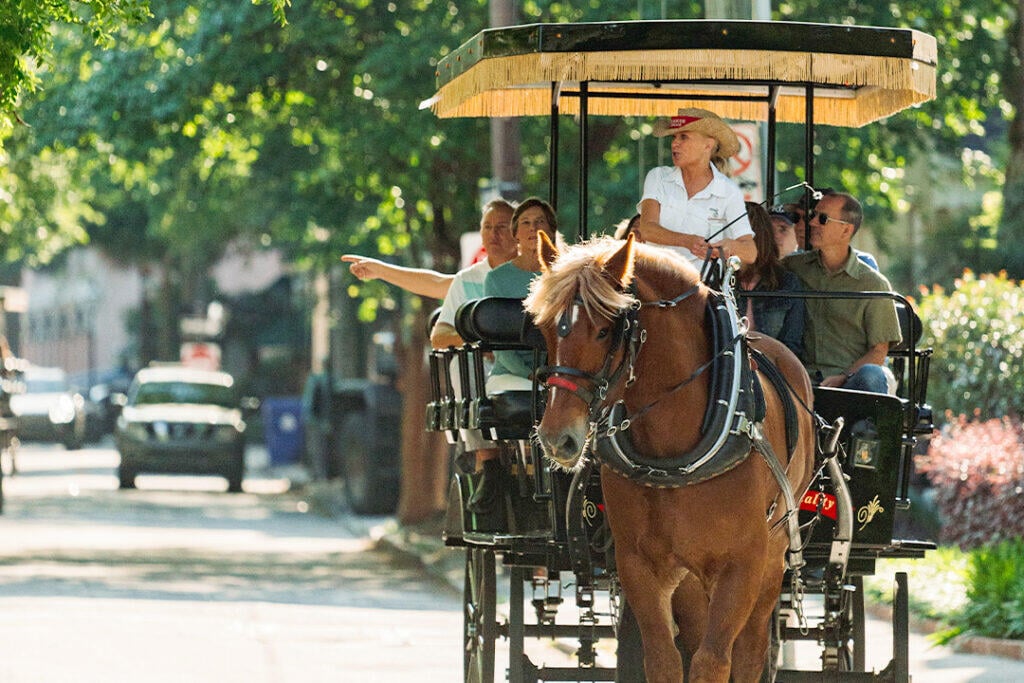 Old South Carriage Tour