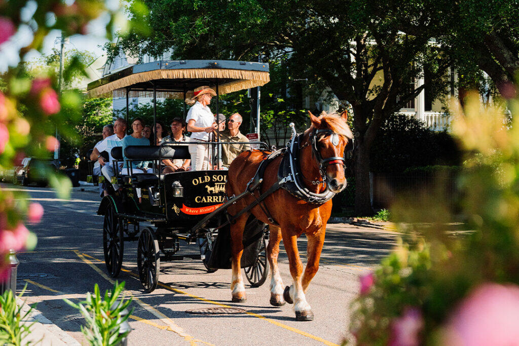 Old South Carriage on Spring Break Charleston SC