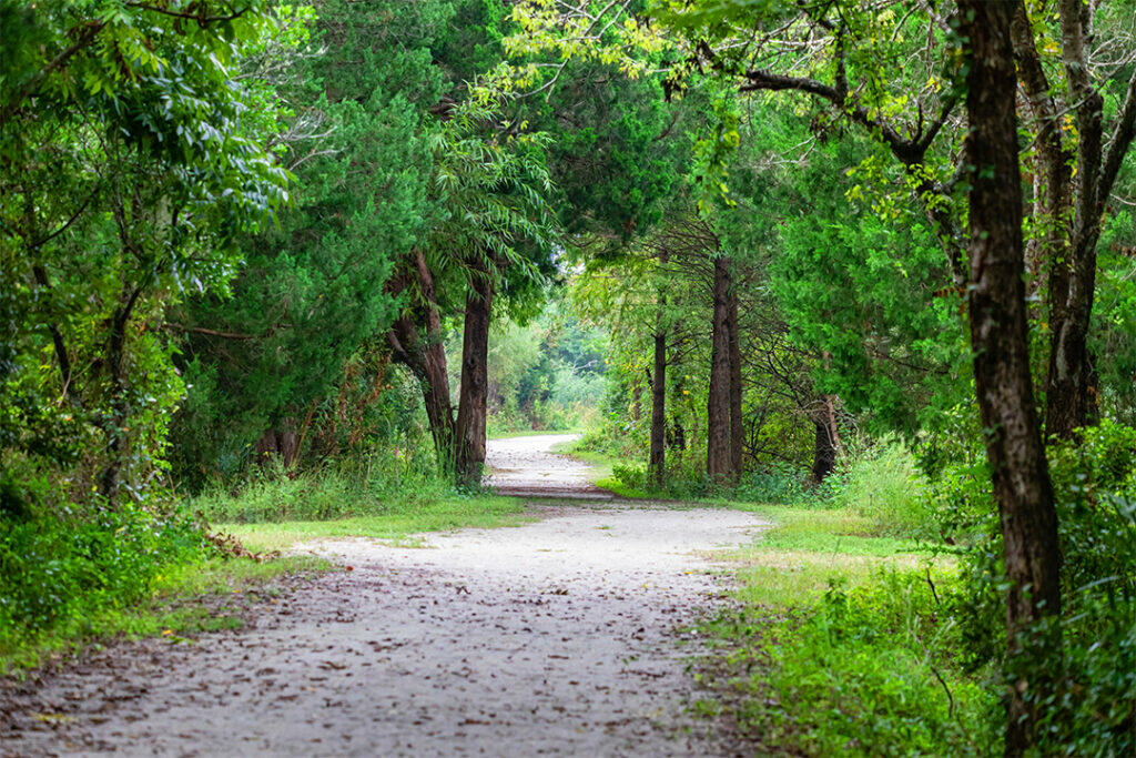 Hike in Charleston in March