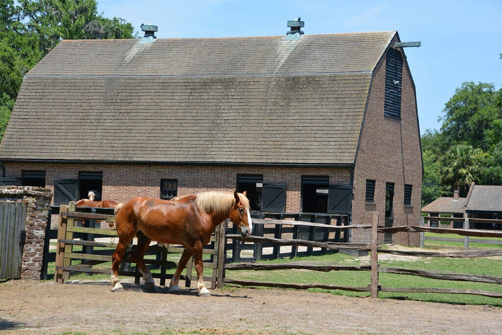 Middleton Place is one of many Charleston things to do