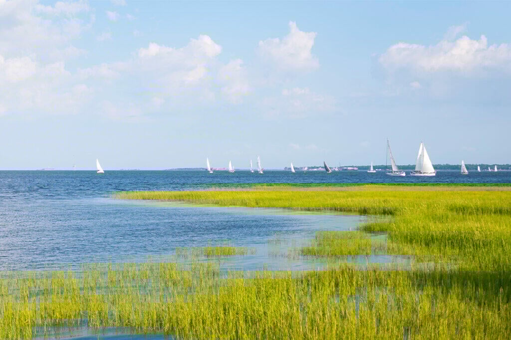 Sailing in Charleston