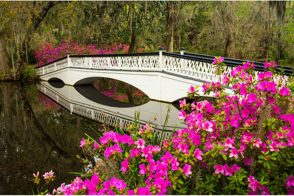 Magnolia Plantation & Gardens
