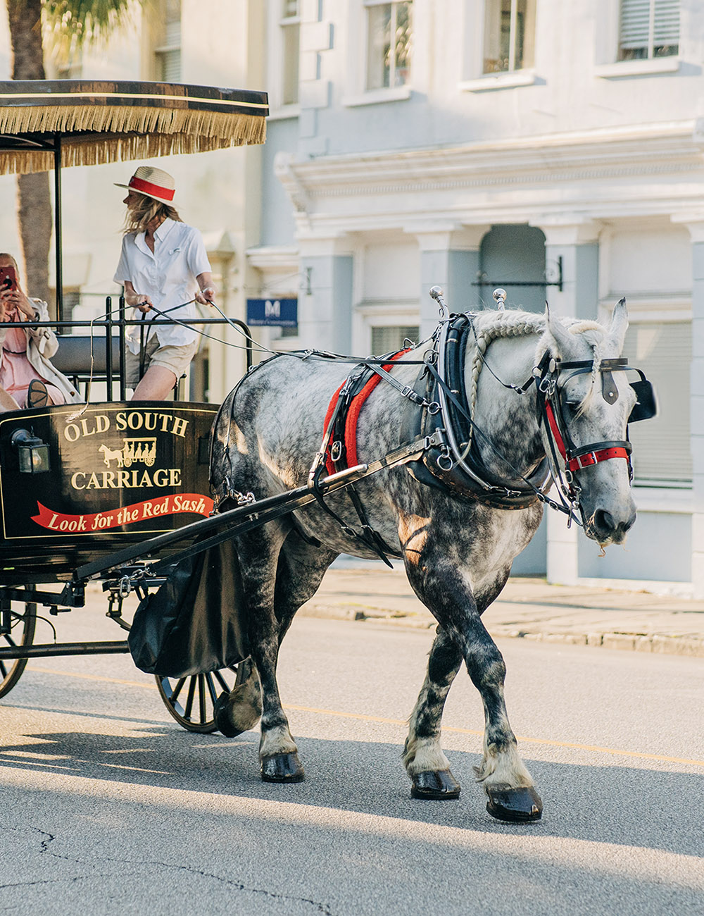 Historic Charleston Carriage Tours & Rides | Old South Carriage